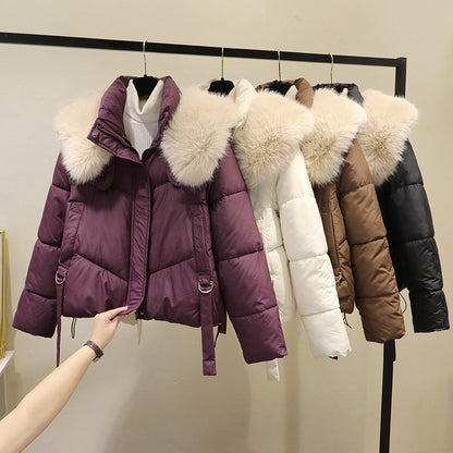 🧥Warme Damen-Kurzjacke mit durchgehendem Reißverschluss und Puffkragen❄️