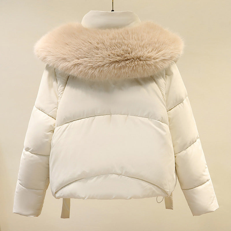 🧥Warme Damen-Kurzjacke mit durchgehendem Reißverschluss und Puffkragen❄️