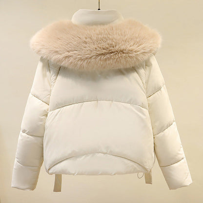 🧥Warme Damen-Kurzjacke mit durchgehendem Reißverschluss und Puffkragen❄️