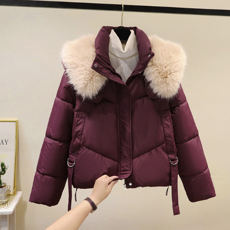 🧥Warme Damen-Kurzjacke mit durchgehendem Reißverschluss und Puffkragen❄️