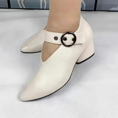 Damen-Schuhe mit Blockabsatz und spitzer Zehenpartie
